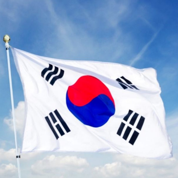 대형 태극기 응원용 한국 국기 게양용 국경일 행사용 깃발 - 상품 이미지