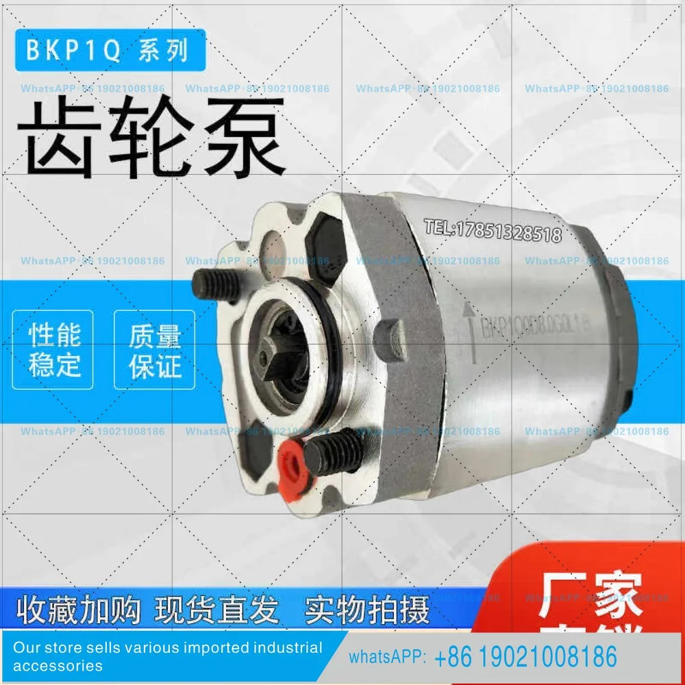 유압식 기어 오일 펌프 BKP1Q0D8.0/BKP1Q0S1.1/S1.3/D4.8/S3.7/G0L1-B