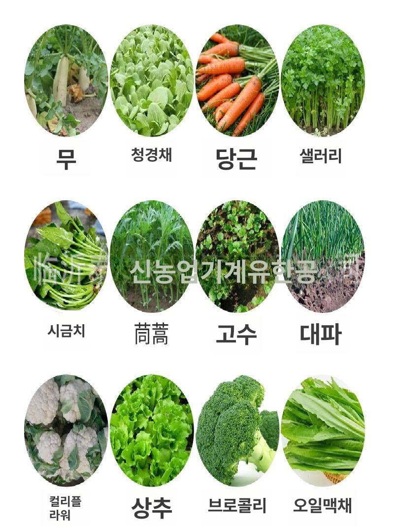 시금치 파종기 씨앗 열무 모종 이식기 핸드 야채 재배 3열 수동 파종기(7-12cm) 1개 단열 - 상세 이미지 2