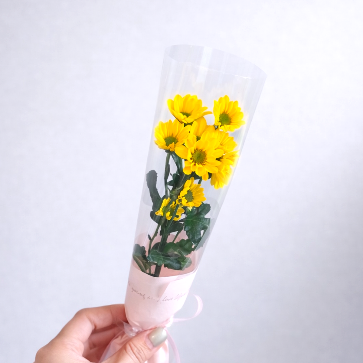 샤샤플라워 한송이 꽃 답례품 단체행사 칠순 선물 온라인꽃집 이미지 8