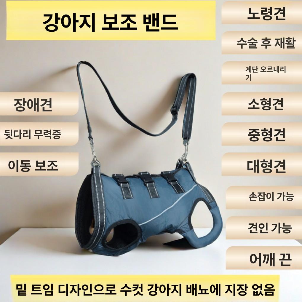 강아지척추보조기 노견 디스크 사계절 허리보호대 다크네이비 XS [2~4.5kg] - 상세 이미지 2
