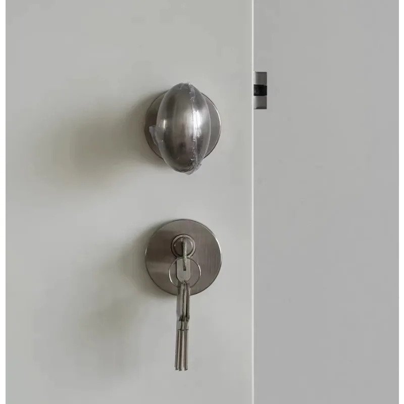밝은 은색 오리알 모양 문 손잡이 이중문부품