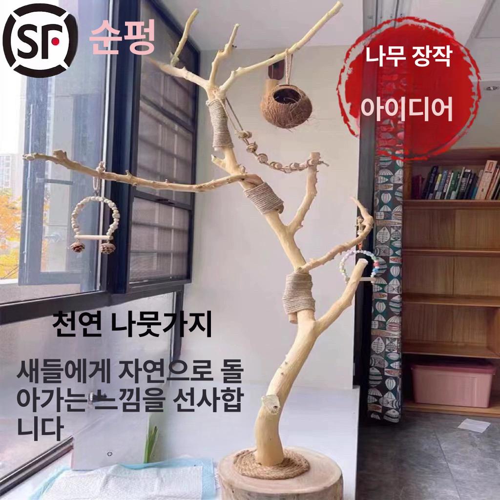 횃대 용품 애완 스탠드 앵무새 나무 새장 놀이터 원목 스테인리스 횟대 둥지 장난감 그네 - 상세 이미지 2