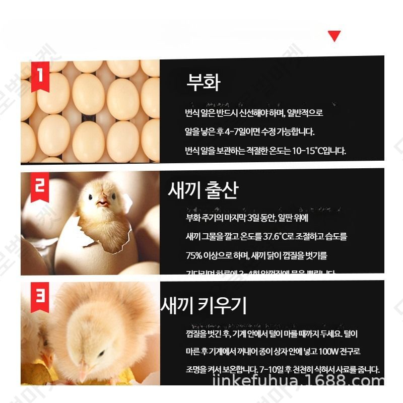 곰부화기 대형 메추리알 거북이알 육추기 검란기 알부화기 - 상세 이미지 4