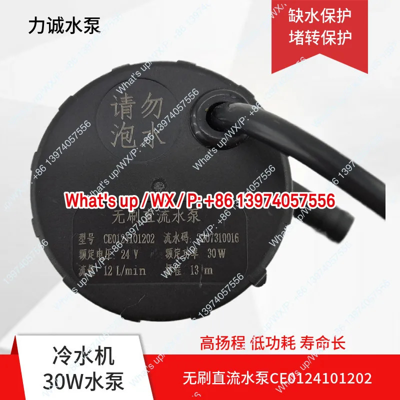 리청 CG0224202403 CE0124101202 CG0224132304 DC 브러시리스 수냉식 냉각기 워터 펌프