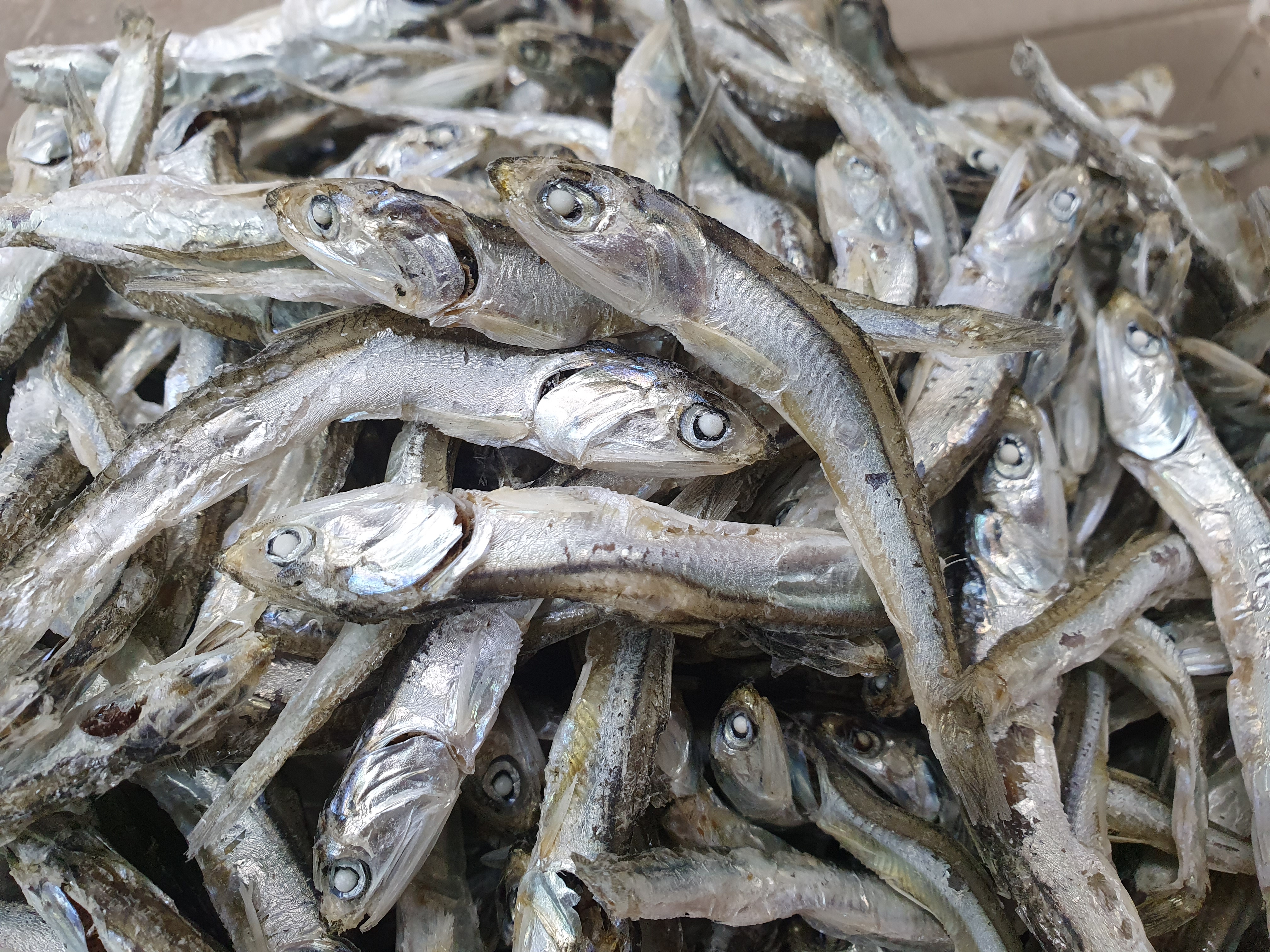 (엄마멸치) 국산 남해안 육수용 다시멸치 깊은다시육수 (진공포장추가옵션) 500g, 1개 - 상세 이미지 4