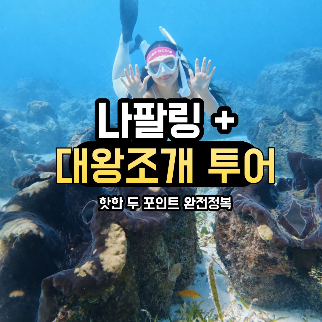 보홀 나팔링 대왕조개 호핑투어 정어리떼 스노클링 리조트 픽업드랍 제공 - 상품 이미지