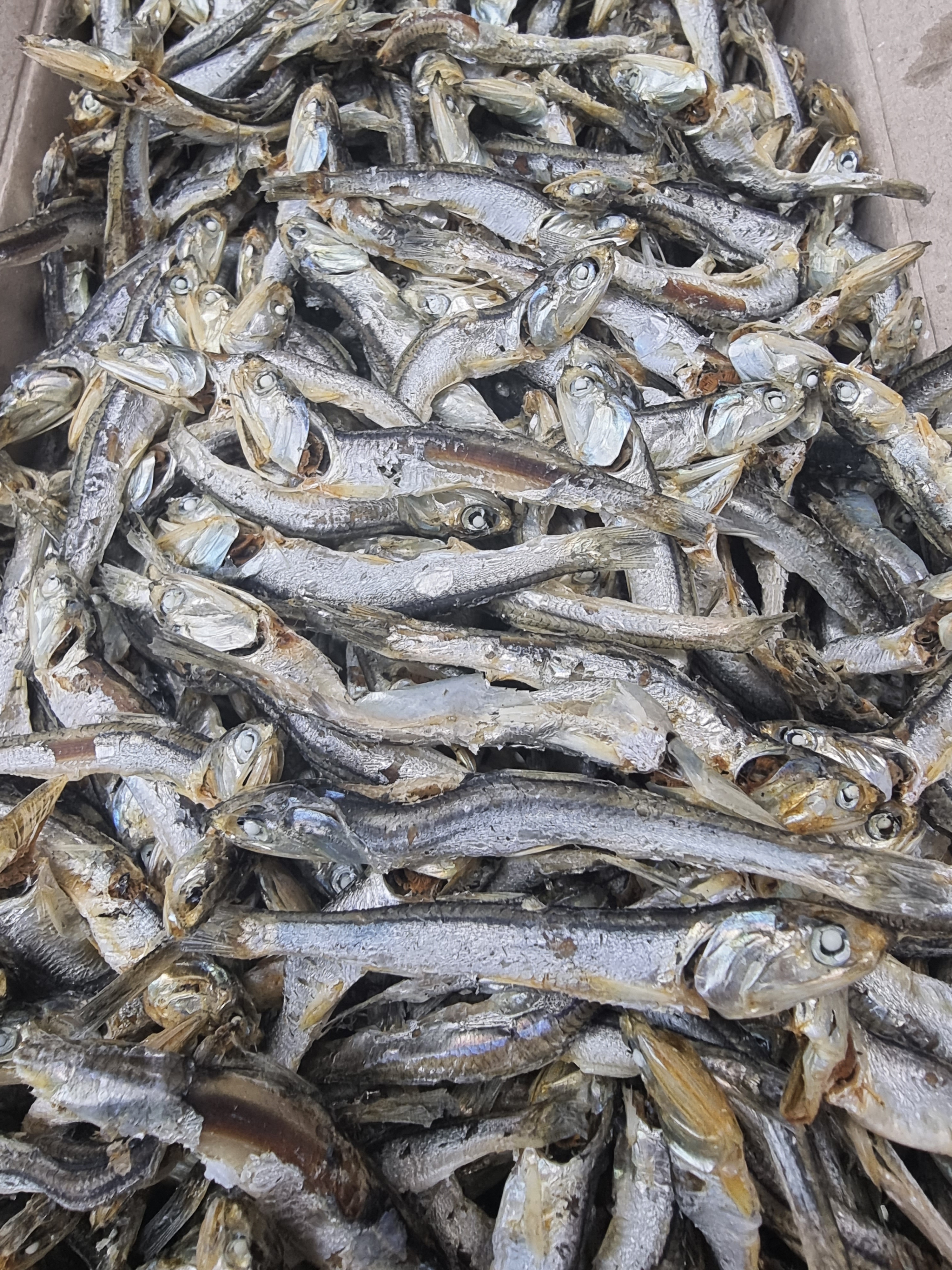 (엄마멸치) 국산 남해안 육수용 다시멸치 깊은 육수(진공포장추가옵션) 1.5kg, 3개 이미지 8