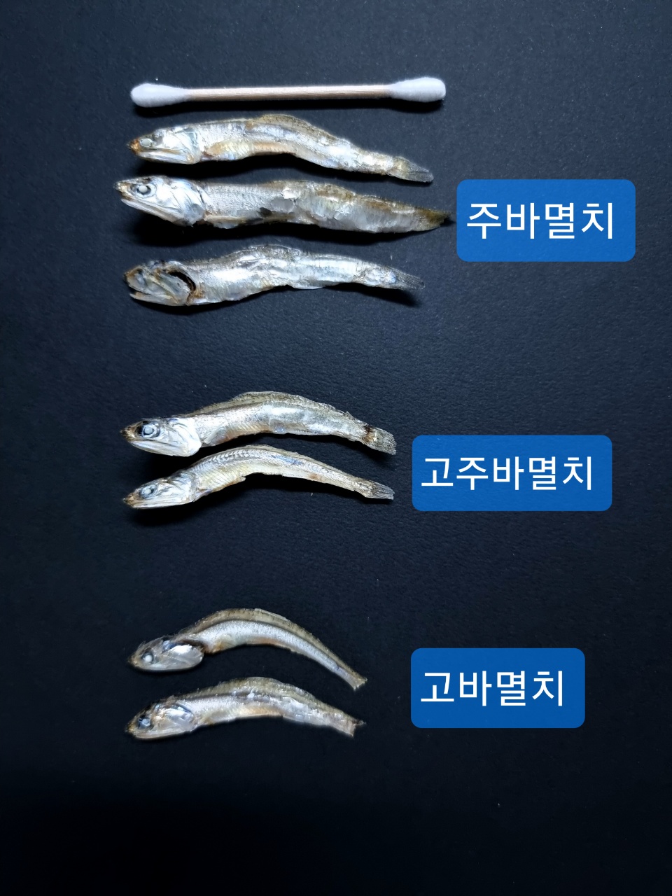 (엄마멸치) 국산 남해안 육수용 다시멸치 깊은 육수(진공포장추가옵션) 1.5kg, 6개 이미지 7