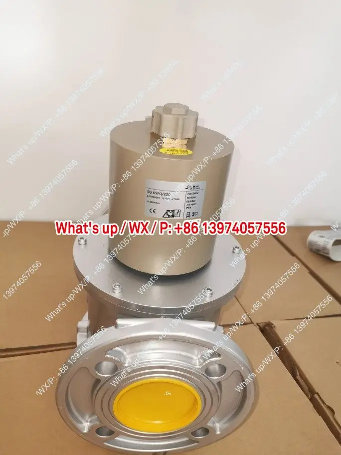 란쉰 테크놀로지 솔레노이드 밸브 SG65FQ/220 RVG 개폐 SG25RQ/220