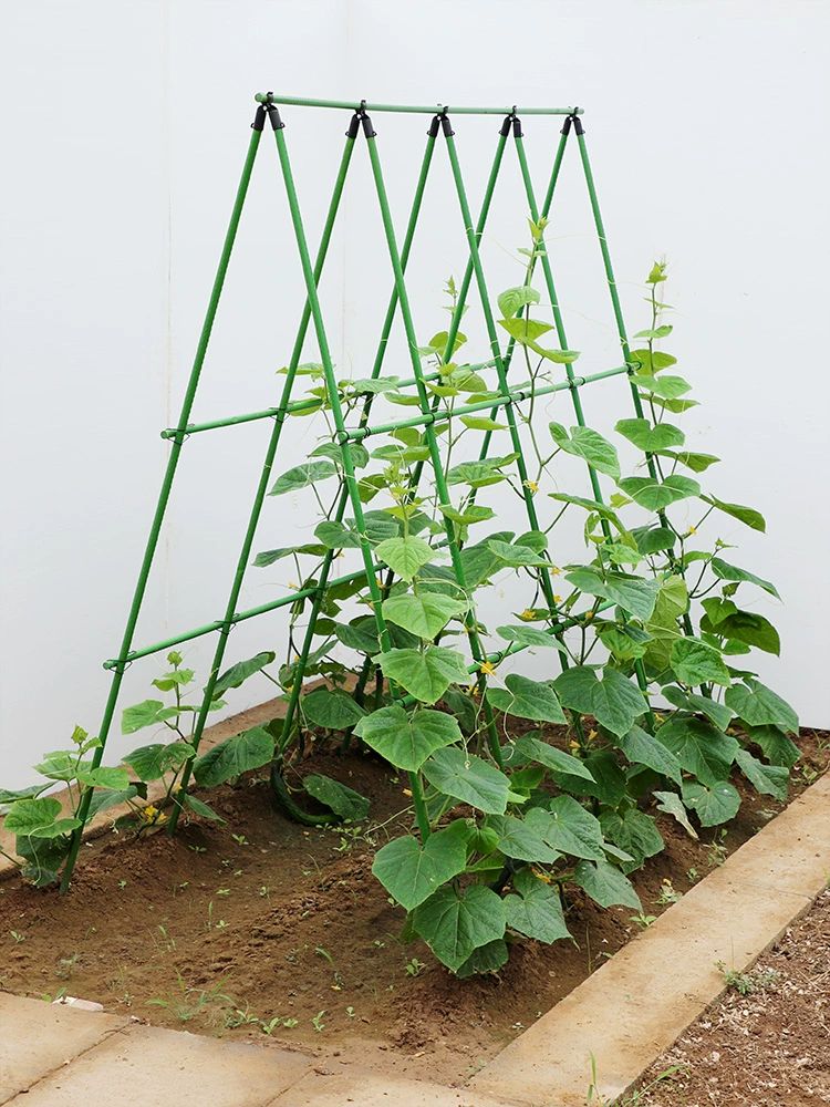 대형 오이지지대 호박 튼튼한 11mm 강철 파이프 조립식 넝쿨 식물 수직 재배용 지주대 8mm 60cm 60cm 3개 6개 특대형 - 상품 이미지