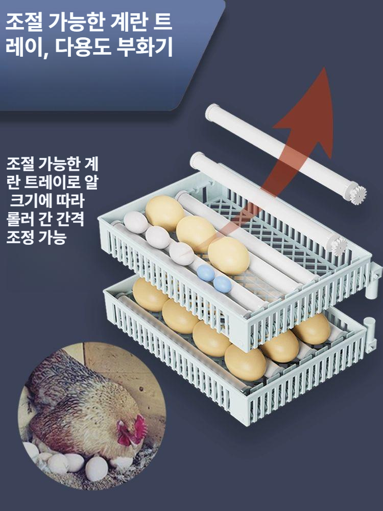 병아리 부화기 달걀 키우기 자동 닭산란통 가정용 인큐베이터 달걀부화기 계란 물 자동부화기 - 상세 이미지 5