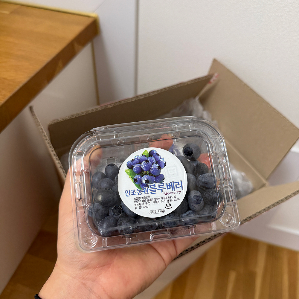 [금서율네] 생 블루베리 생과 125g 1팩 12팩 - 상세 이미지 2