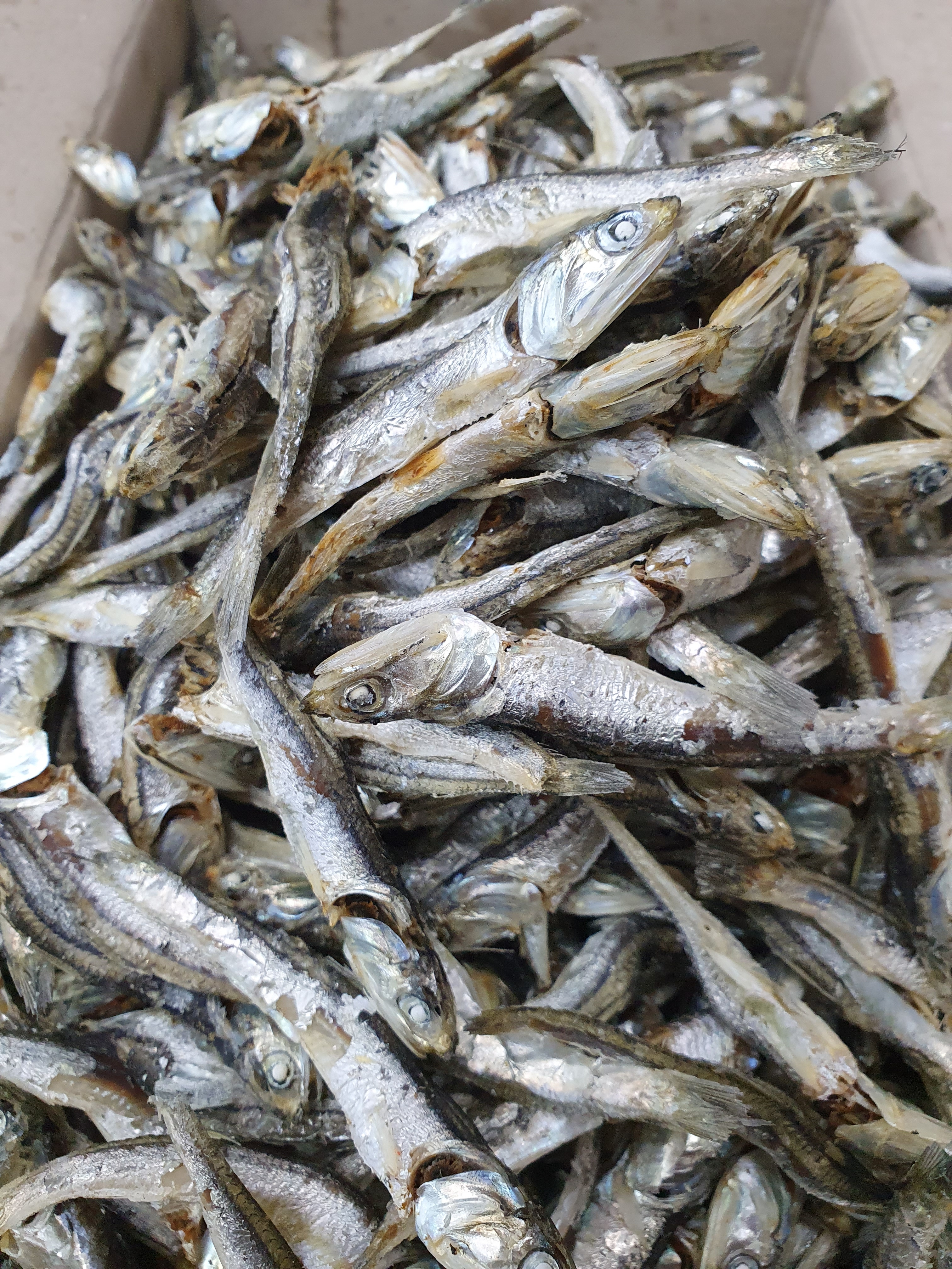 (엄마멸치) 국산 남해안 육수용 다시멸치 깊은 육수(진공포장추가옵션) 1.5kg, 3개 이미지 7