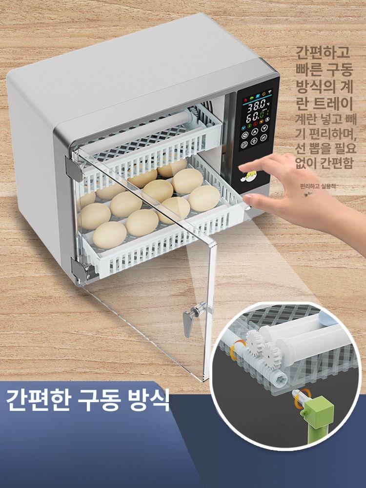 병아리 부화기 달걀 키우기 자동 닭산란통 가정용 인큐베이터 달걀부화기 계란 물 자동부화기 - 상세 이미지 4