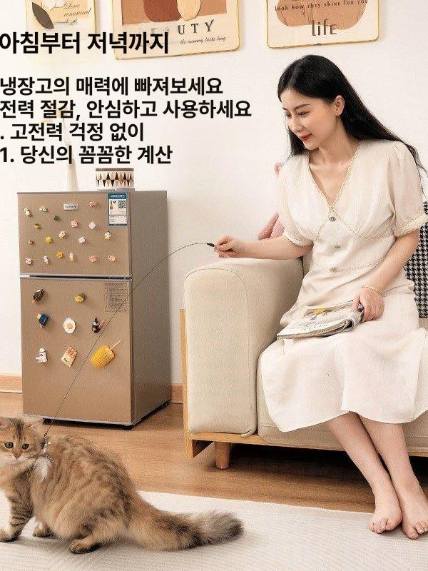 1등급 소형냉장고 원룸냉장고 미니냉장고 도어 기숙사 병원 전자 작은냉장고 - 상세 이미지 3
