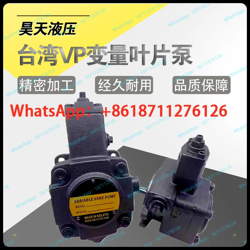 유압 VP-DF-20-DVP-D 오일 펌프 F-40-D 30 C B A 12 15 베펌프