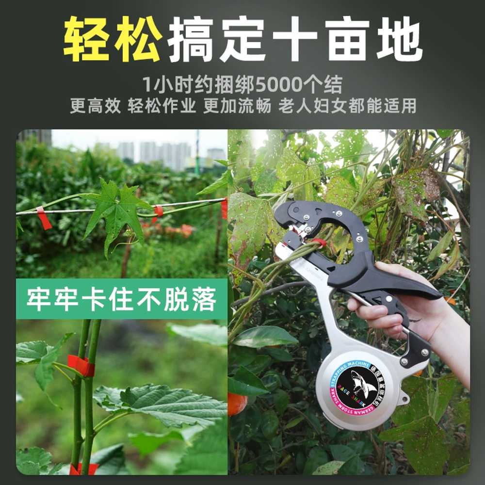 고추끈 결속기 원예용 농작물 수확용 용 가지 오이 접목 - 상세 이미지 4