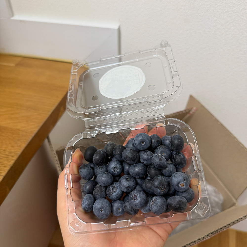 [금서율네] 생 블루베리 생과 125g 1팩 12팩 - 상세 이미지 4