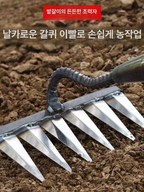 쇠스랑 제초쇠스랑 괭이 강철날 원목자루 날카로운 뾰족한 이빨 다용도 잡초제거 밭갈이 철제 손잡이 짧은 4날 괭이 - 상세 이미지 3