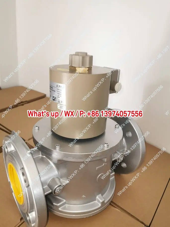 란쉰 테크놀로지 솔레노이드 밸브 SG65FQ/220 RVG 개폐 SG25RQ/220