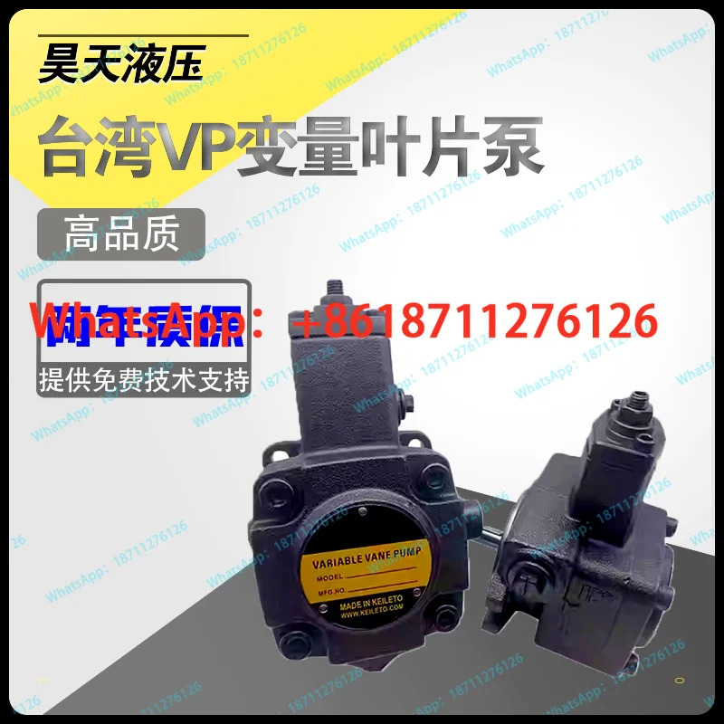 유압 VP-DF-20-DVP-D 오일 펌프 F-40-D 30 C B A 12 15 베펌프