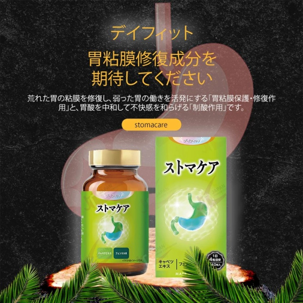 데이핏 DAYFIT 스토마케어 양배추엑기스 펜넬 일본 영양제 360정 3개월분 - 상세 이미지 2