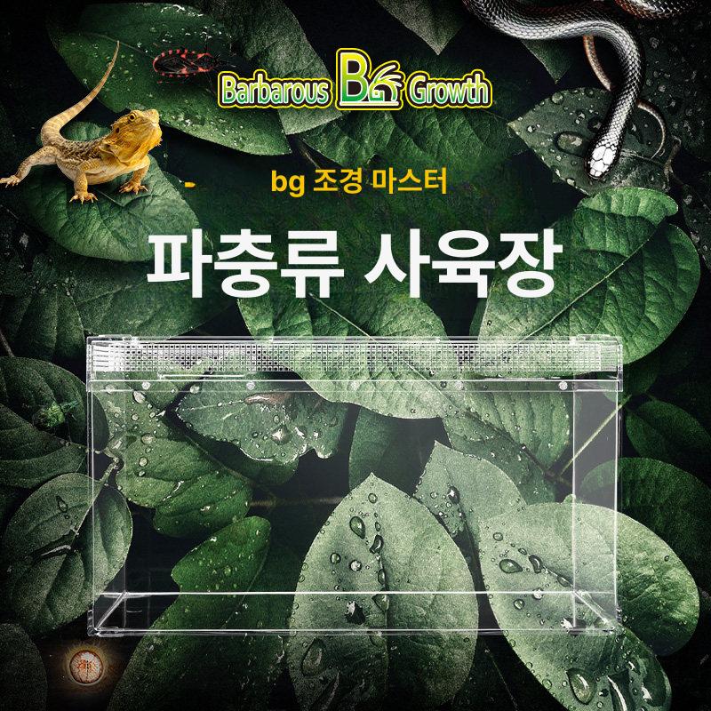 방탄사육장 아크릴케이지 파충류 도마뱀 대형 이상 오크배경판 렙티주 카멜레온 - 상세 이미지 2