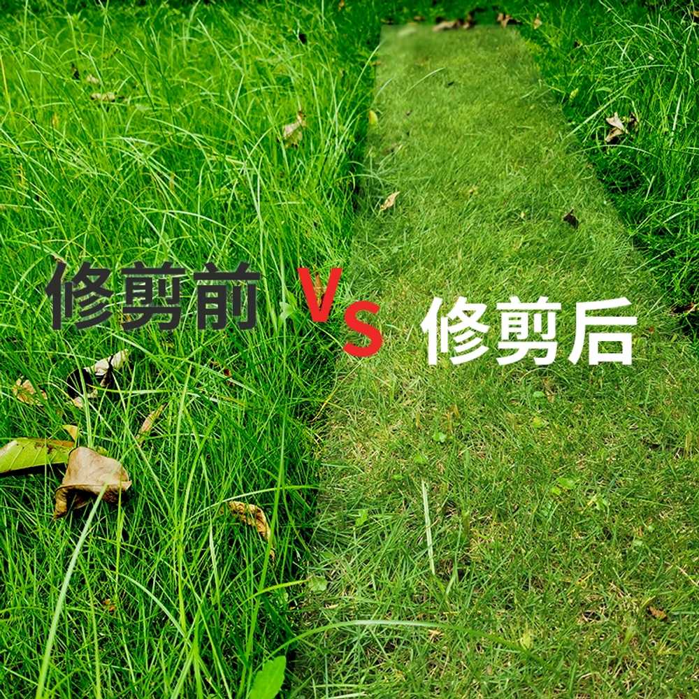 휴대용 잔디깍기 무선 기계 잔디깍는 용 전정기 예초기 - 상세 이미지 4