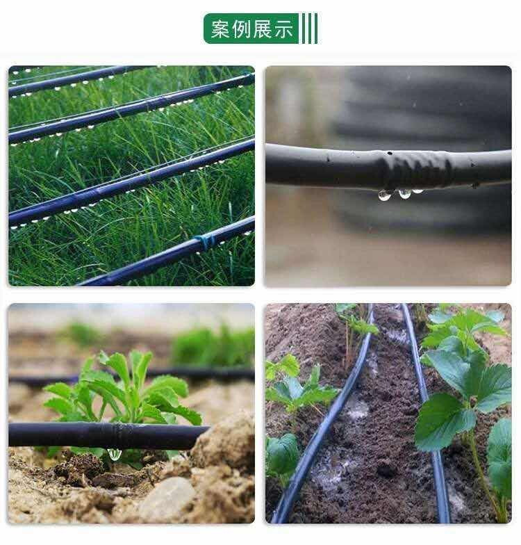점적호스 점적 관수 농사용 분사 물호스 급수 과수원 - 상세 이미지 3