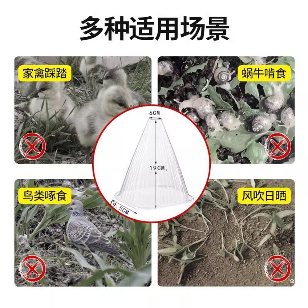 식물 보호덮개 꼬깔 보온 캡 방충 텃밭 모종용 겨울철 서리 방지용 가드닝용원예캡 - 상세 이미지 5