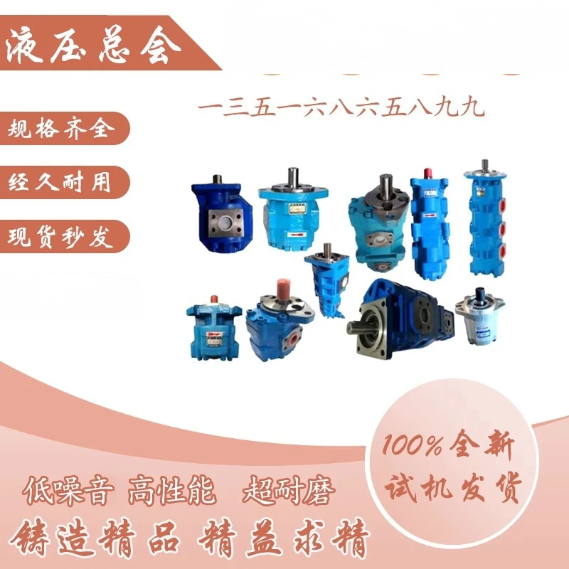 사천 양쯔강 수력 펌프 CBY2025-1TR CBY-1FR CBY2040-2TR/-1FL 기어