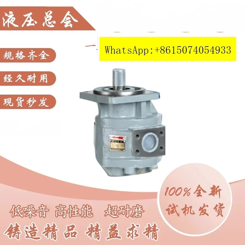 사천 양쯔강 수력 펌프 CBY2025-1TR CBY-1FR CBY2040-2TR/-1FL 기어