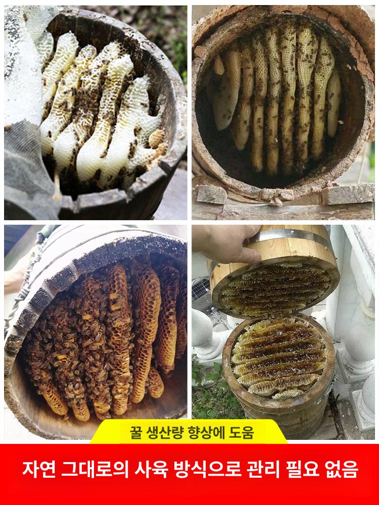 전나무 벌통 꿀벌 상자 양봉용 토종벌 꿀채집 튼튼한 3중구조 격자 프레임 경사지붕 [3단 건조] 관찰창 1개 포함 - 상세 이미지 5