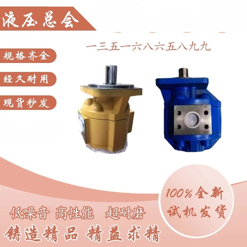 사천 양쯔강 수력 펌프 CBY2025-1TR CBY-1FR CBY2040-2TR/-1FL 기어