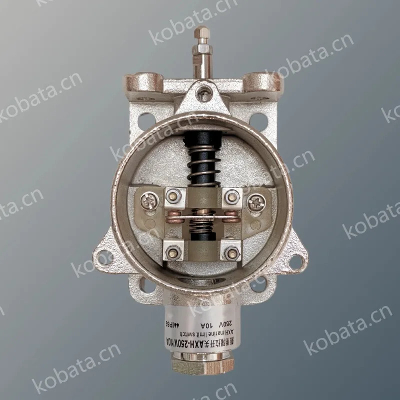 Mar-ine 리미트 스위치 도어 AXH-250V 10A