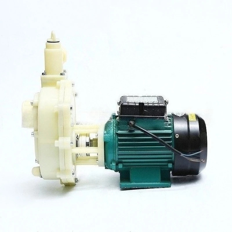 103 자흡식 플라스틱 워터 펌프 부식 방지 원심 12V/24V DC 정원 관개리퍼