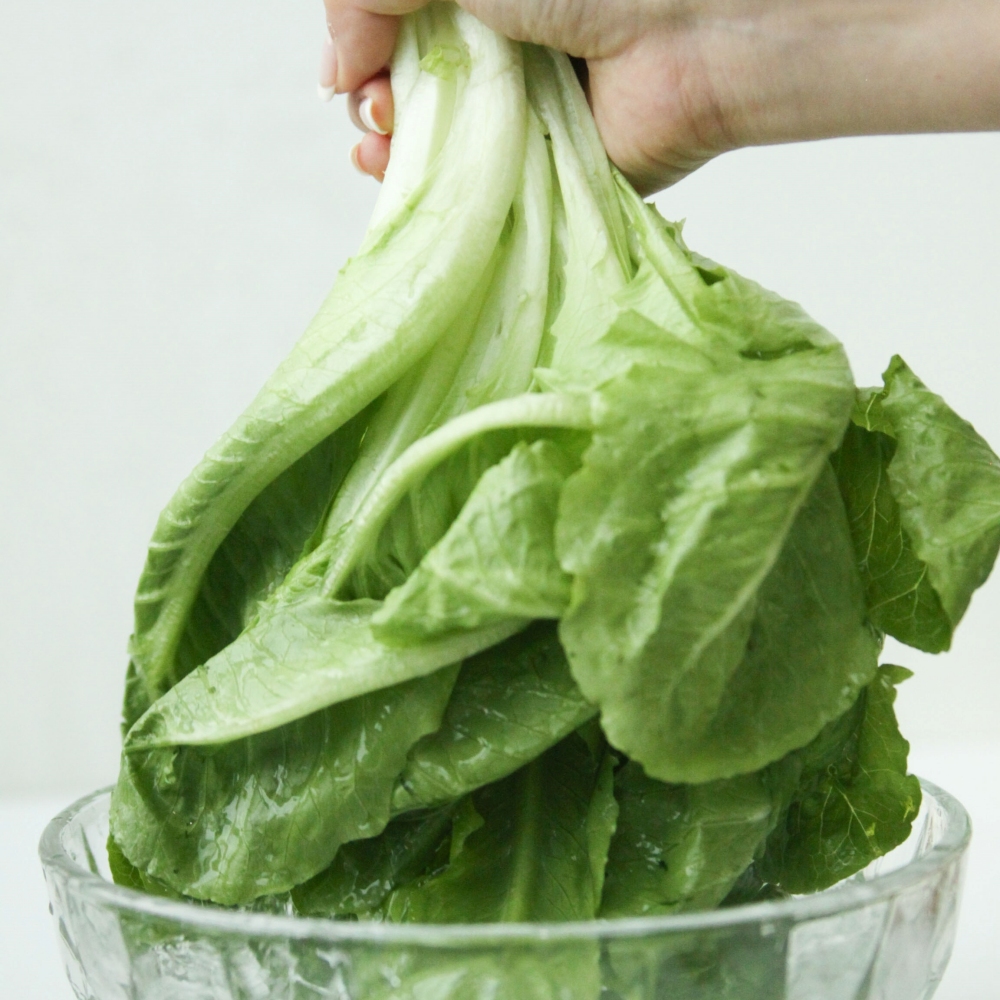 당일수확 유럽샐러드채소 유럽피안채소 유로피안 버터헤드 레터스 상추 모듬 1kg, 1개 이미지 6