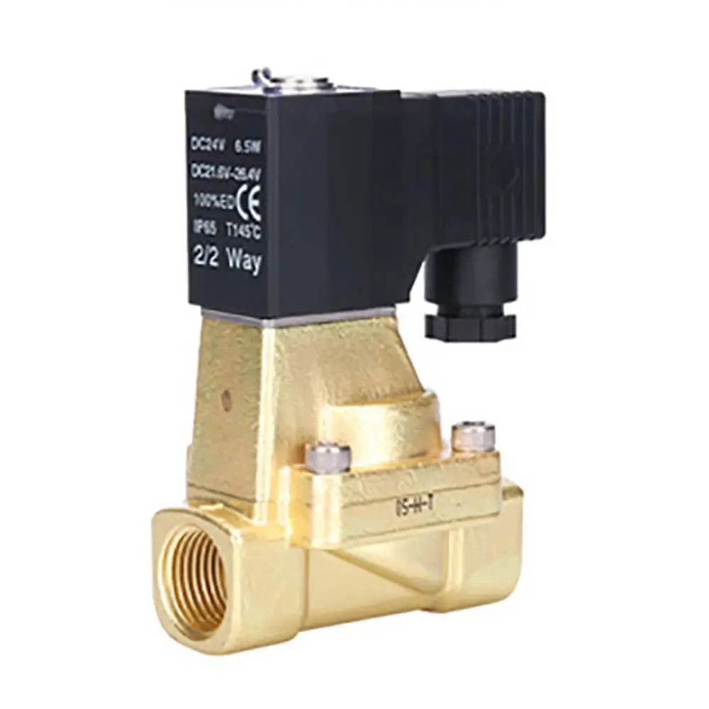 솔레노이드 배수 밸브 스위치 물 2W250-25 24V 220V