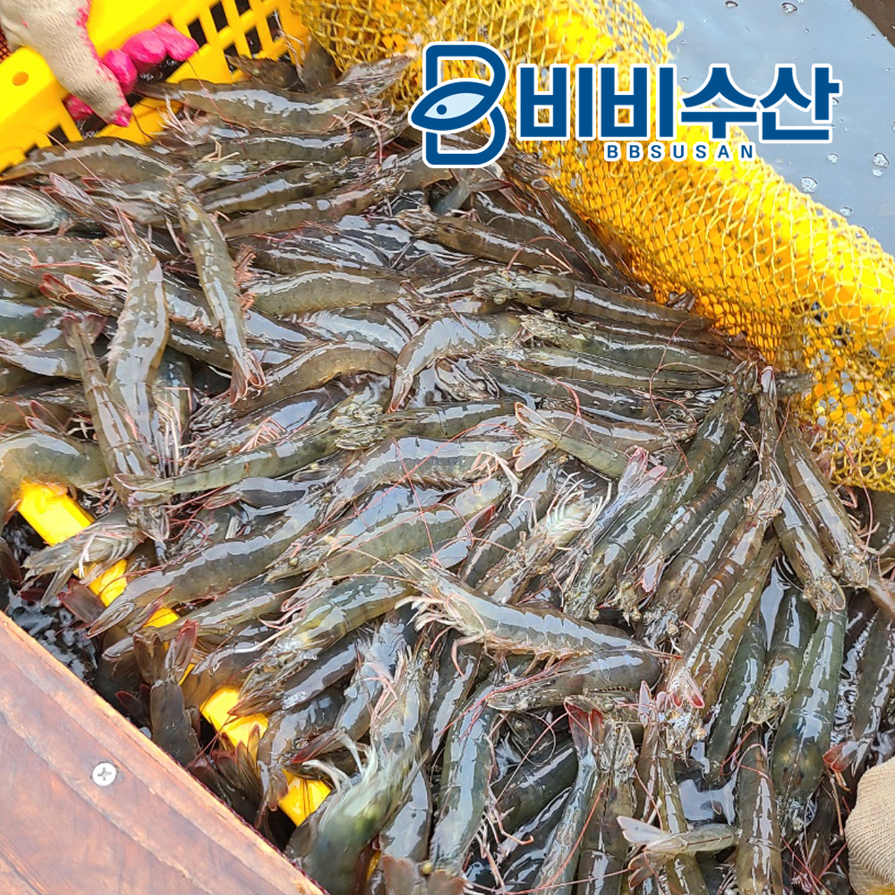 국내산 냉동 활새우 1kg 자연산 대하 칵테일새우 새우살 - 상세 이미지 2