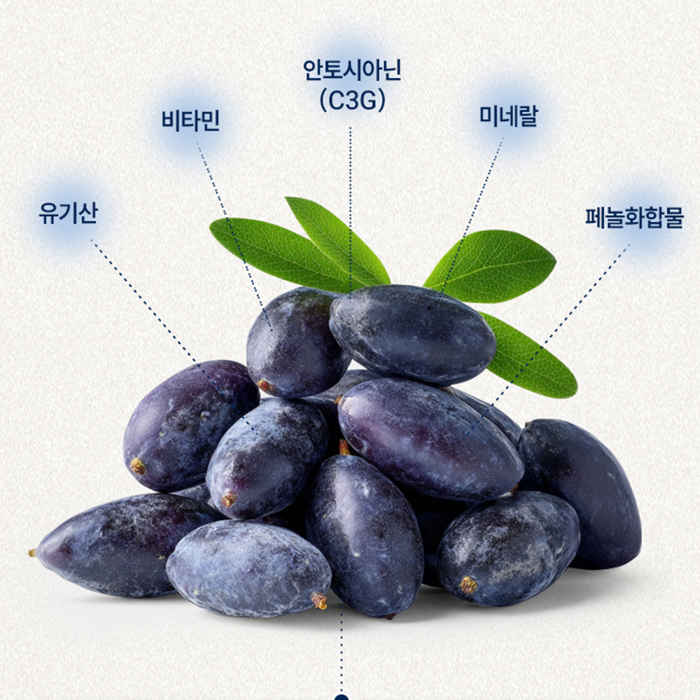 히스카프베리 하스카프베리 하프카스 하스키프 동결건조 분말 c3g 파우더 - 상세 이미지 3