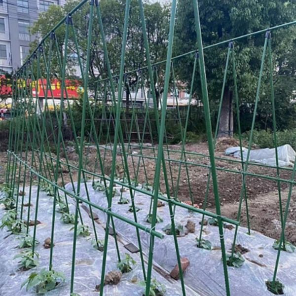 포도나무지지대 파이프 대형 1.8m 2m 애플수박 넝쿨 - 상세 이미지 3