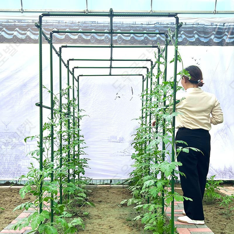 애플수박 지지대 고추 상추재배 오이키우기 완두콩 비닐하우스만들기 - 상세 이미지 2