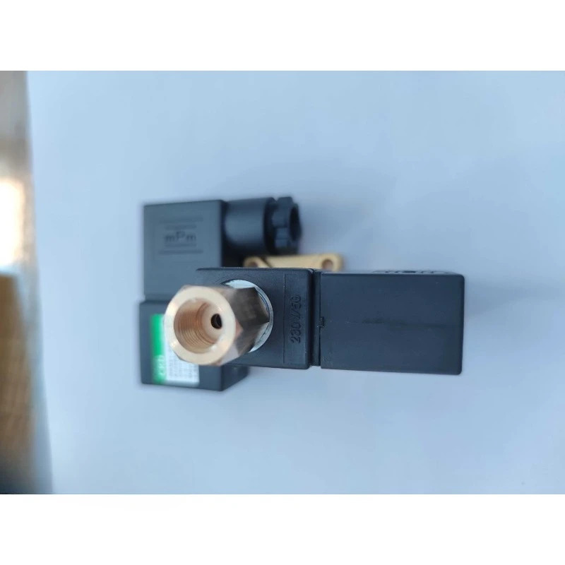 CKD 솔레노이드 밸브 GBG21-X001-FL-613589-AC220V 흡기 밸브부품