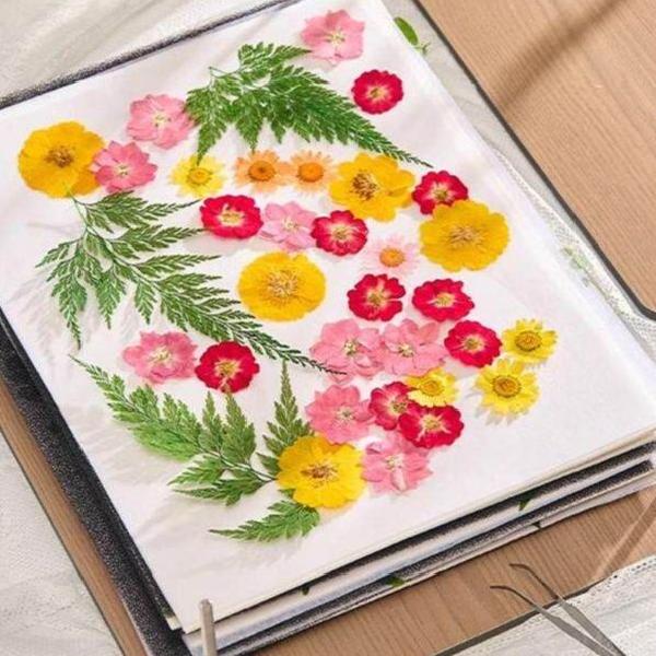꽃누르기 압화프레스 공예 도구세트 압화기 DIY 플라워 추억 - 상품 이미지