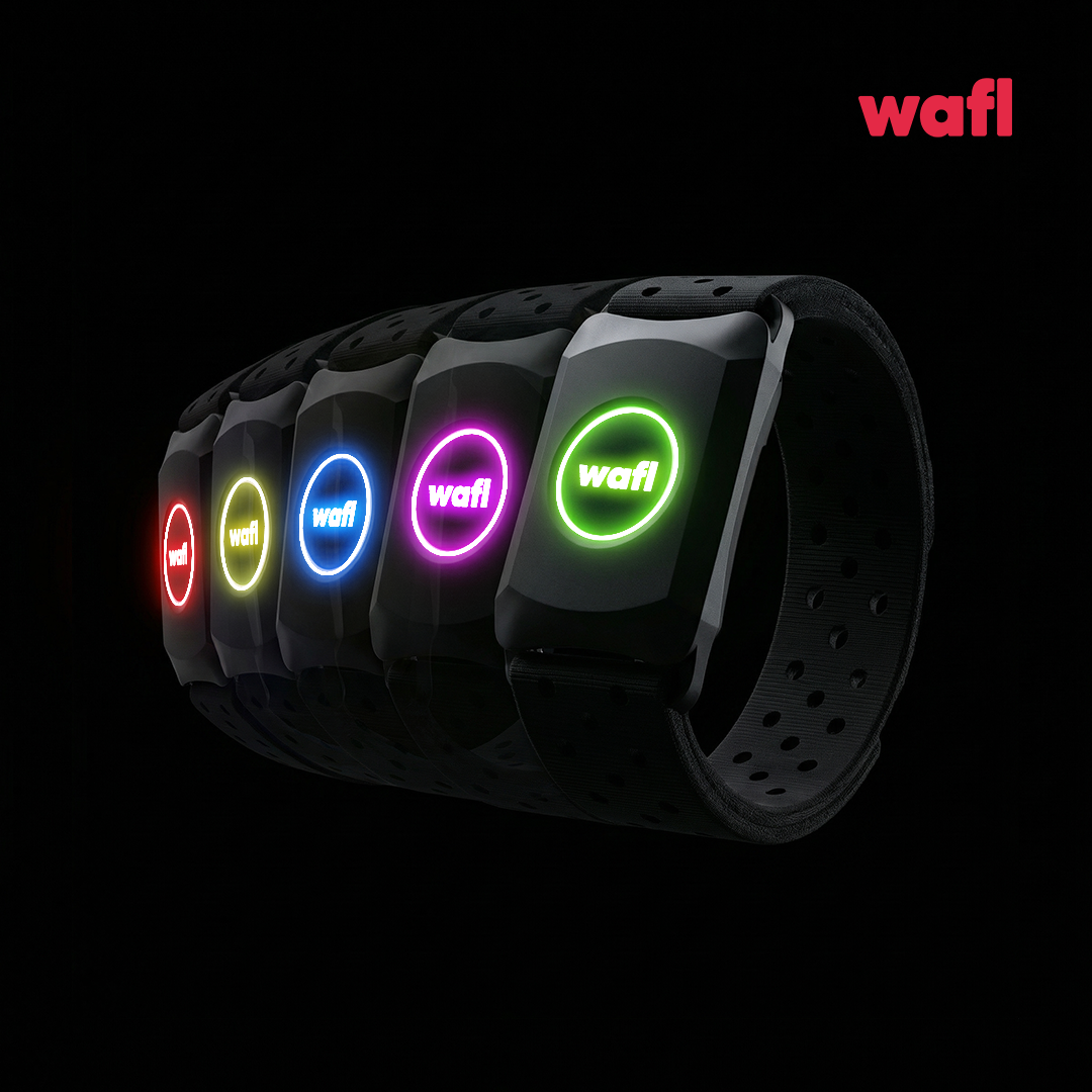 wafl 심박계 모니터 암밴드 손목 팔뚝 심박존 컬러 러닝 자전거 블루투스 ANT+ 심박측정 - 메인 이미지
