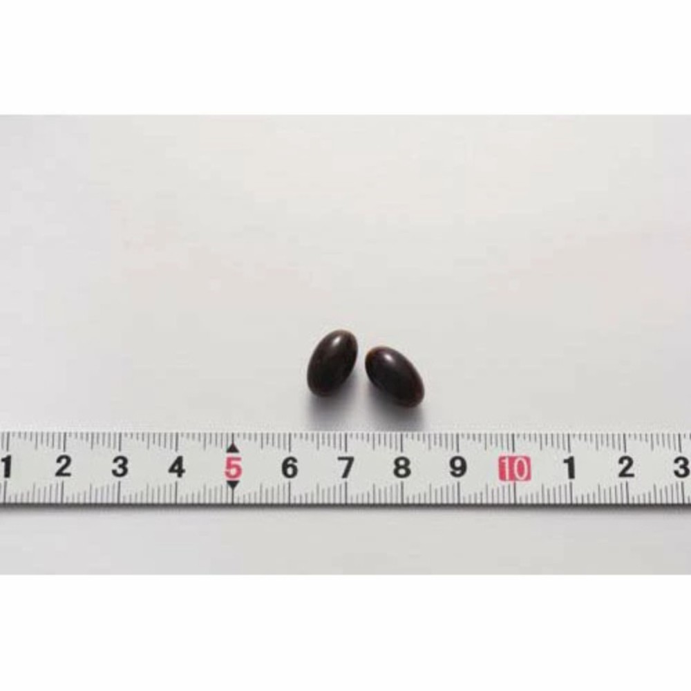코바야시제약 낫토키나제 EX 60캡슐 5개 일본 영양제 보조식품 - 상세 이미지 3