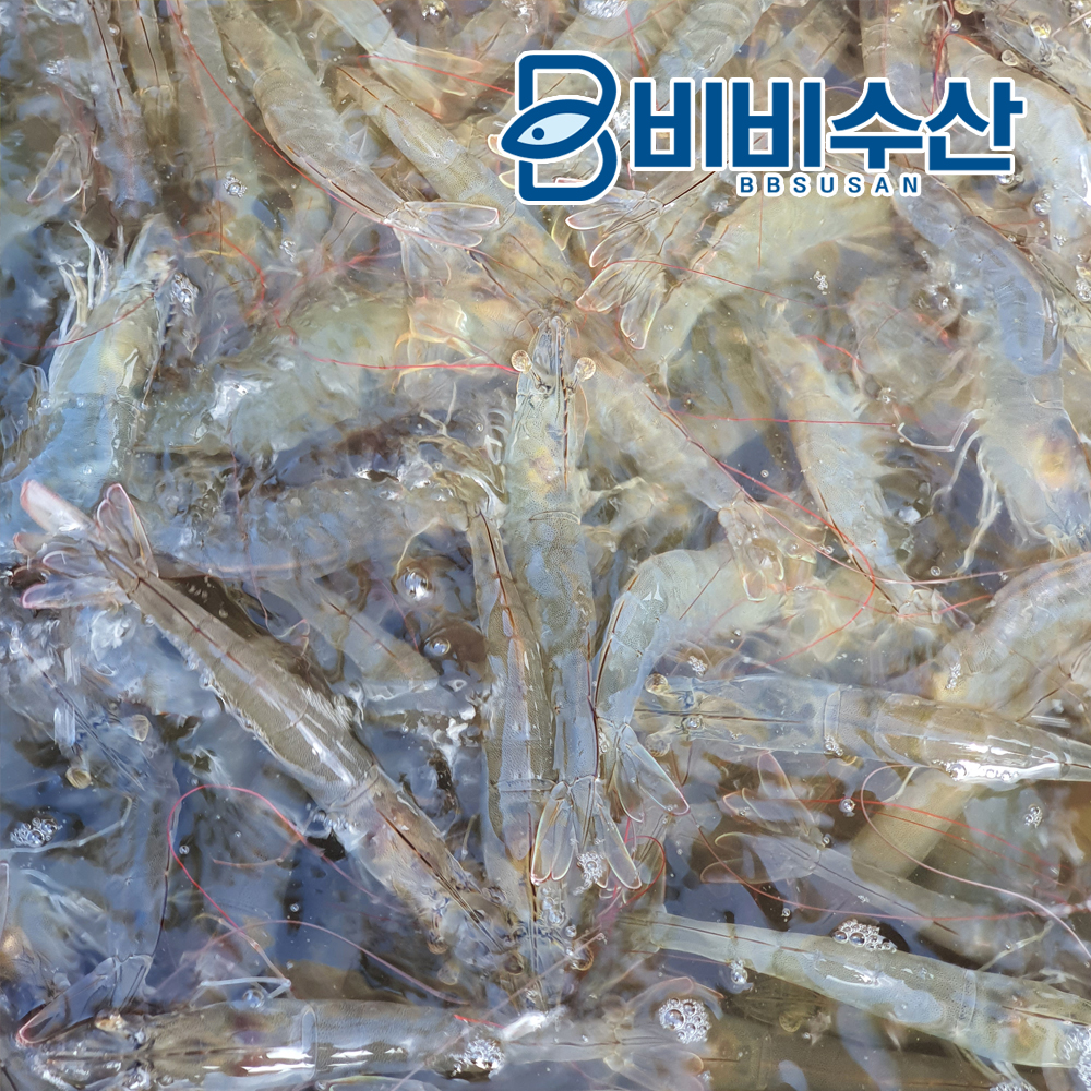 국내산 냉동 활새우 1kg 자연산 대하 칵테일새우 새우살 - 상세 이미지 3