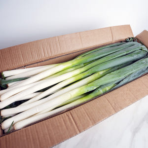 간편한 손질 수입 햇 깐대파 10kg 식자재 대용량 맛있게 먹은 솔직 후기 - 상품 이미지 3