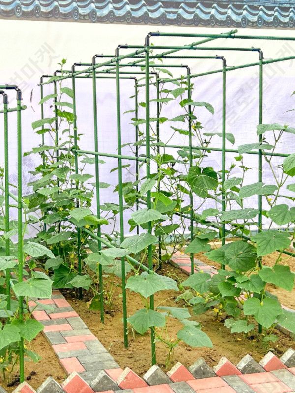 포도나무지지대 파이프 대형 1.8m 2m 애플수박 넝쿨 - 상세 이미지 4